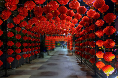 Chinese lantern, new year season and celebration