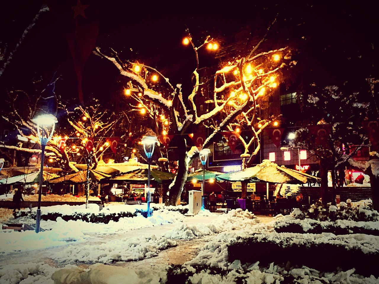 night, illuminated, snow, winter, building exterior, street light, lighting equipment, cold temperature, outdoors, built structure, glowing, architecture, light - natural phenomenon, long exposure, street, tree, sky, celebration, city, no people