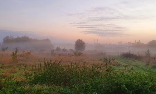 Scenic view of field against sky during sunset