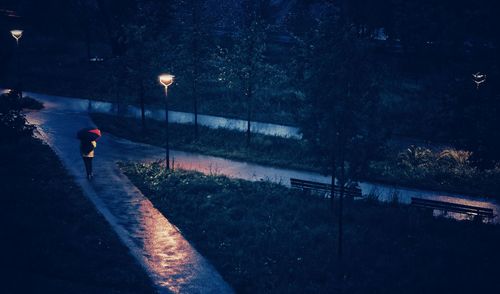 Rear view of person walking on street at night