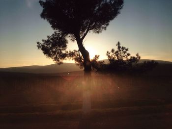 Silhouette trees on landscape against clear sky