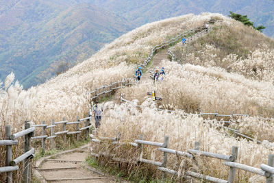 High angle view of people on hill