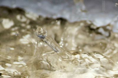 Close-up of water drop on plant