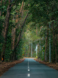 Empty road amidst trees in forest