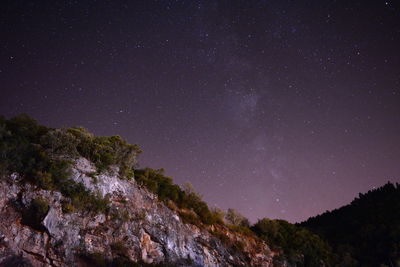 Low angle view of trees against sky at night