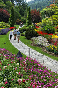 People walking in park