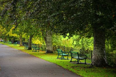 Trees in park