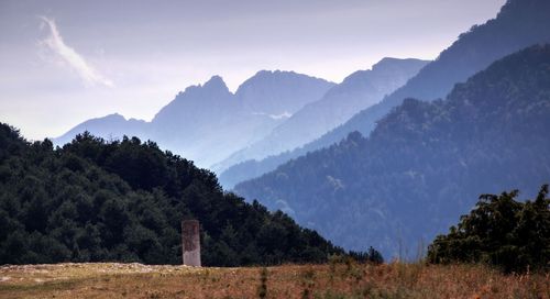 Panoramic view of trees and mountains against sky