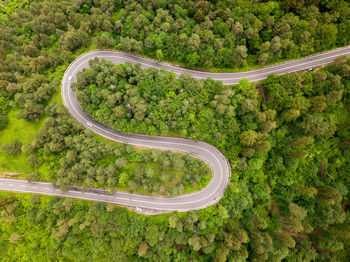 High angle view of road by trees