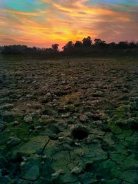 Scenic view of field against sky during sunset