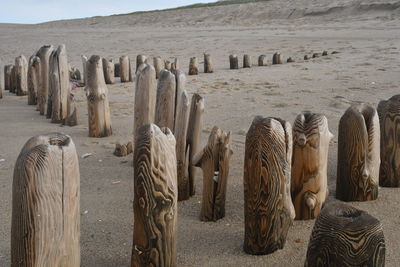 Panoramic view of wooden posts on sand at beach