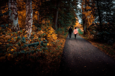 Rear view of people walking in forest during autumn