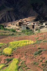 Buildings in a field