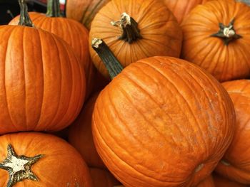 Close-up of pumpkins