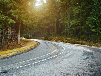 Empty road along trees