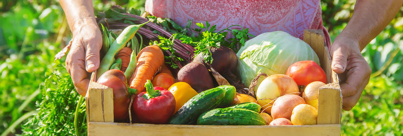 Close-up of vegetables on table