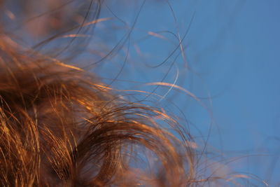 Close-up of red hair against blue sky background