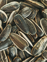 A sunflower seed batch