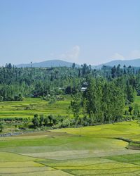 Scenic view of golf course against sky