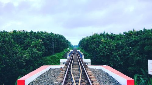 Railroad track amidst trees against sky