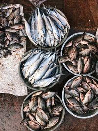 High angle view of fish for sale at market