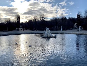 View of ducks swimming in lake