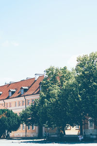 Trees and buildings against sky