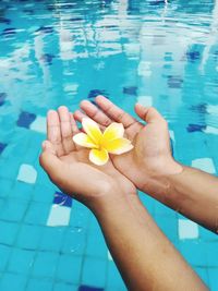 Holding yellow flower in swimming pool