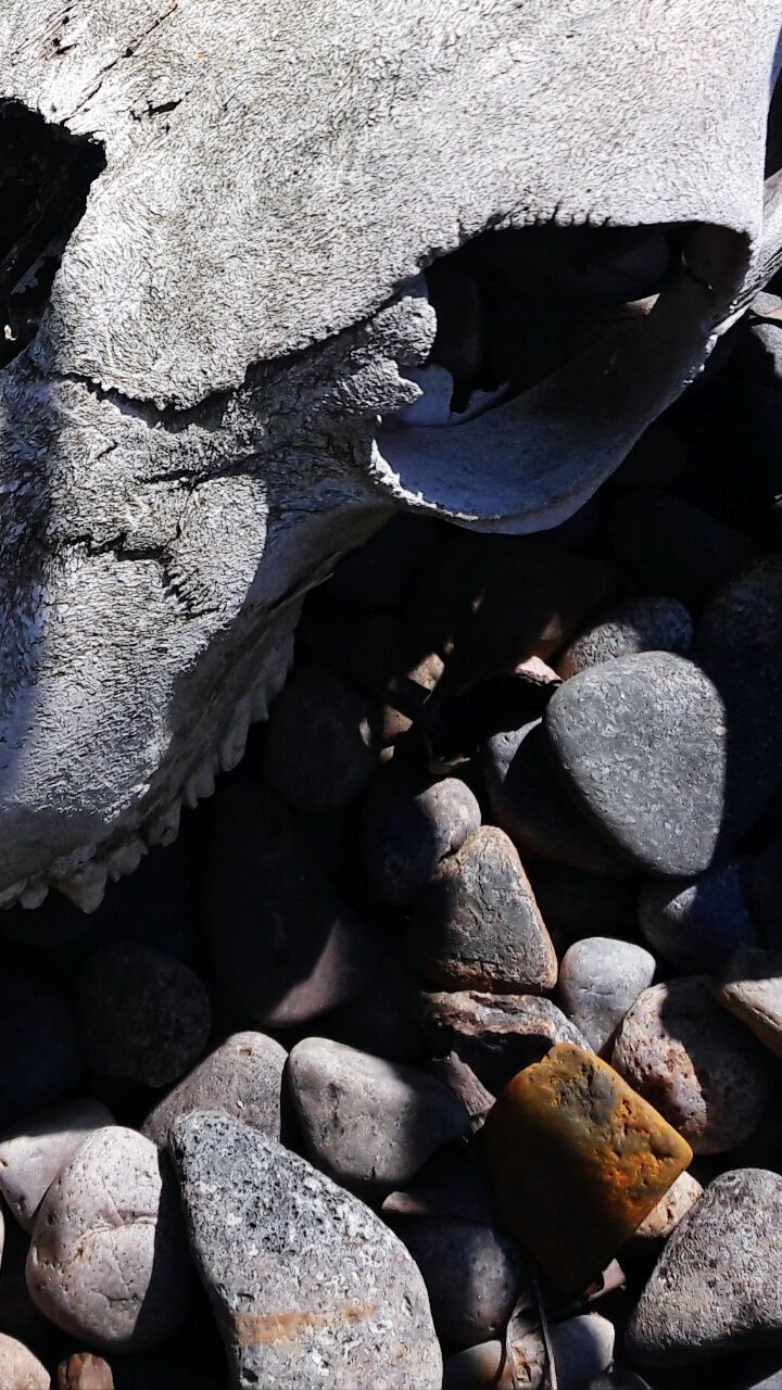 HIGH ANGLE VIEW OF PEBBLES AT SHORE