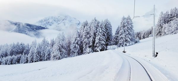 Snow covered land and trees against sky