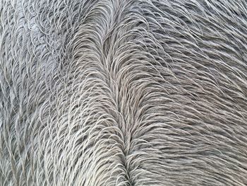 Full frame shot of wooden wall