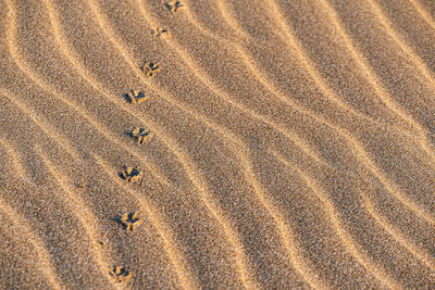 Full frame shot of sand at sandy beach