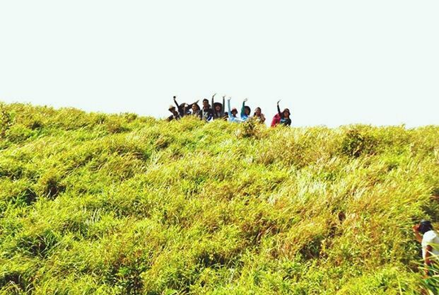 grass, men, leisure activity, clear sky, lifestyles, field, person, green color, copy space, grassy, large group of people, togetherness, landscape, nature, growth, medium group of people, day