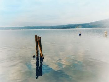 Men on wooden post by sea against sky