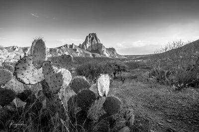 Panoramic view of landscape against sky