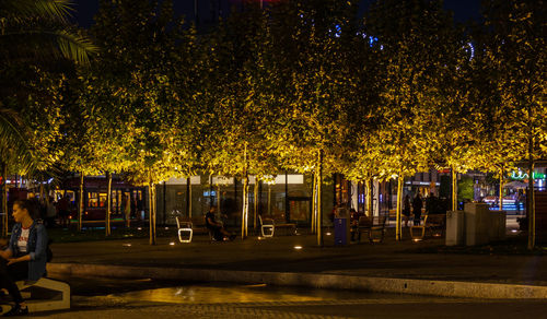 Trees by illuminated city at night