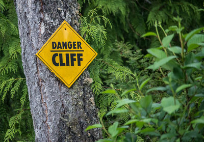 Close-up of yellow sign on tree trunk