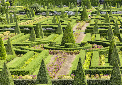 High angle view of formal garden
