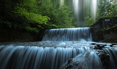 Scenic view of waterfall in forest