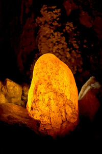 Close-up of yellow cave