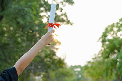 Cropped hand of woman holding diploma against trees