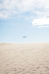 Low angle view of airplane flying over beach against sky