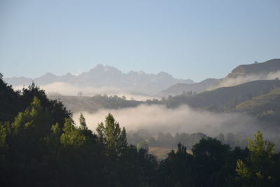 Scenic view of trees and mountains against sky