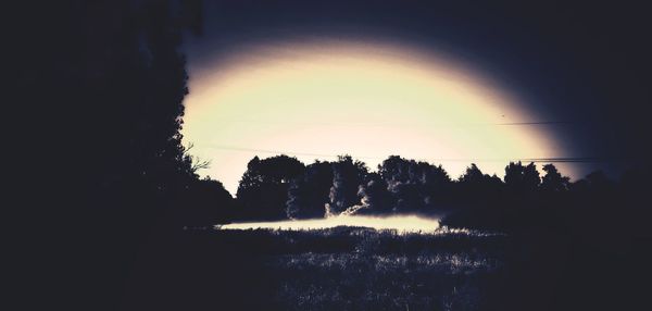 Silhouette trees against sky during sunset