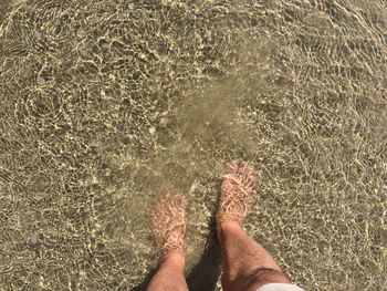 Low section of man standing on sea shore