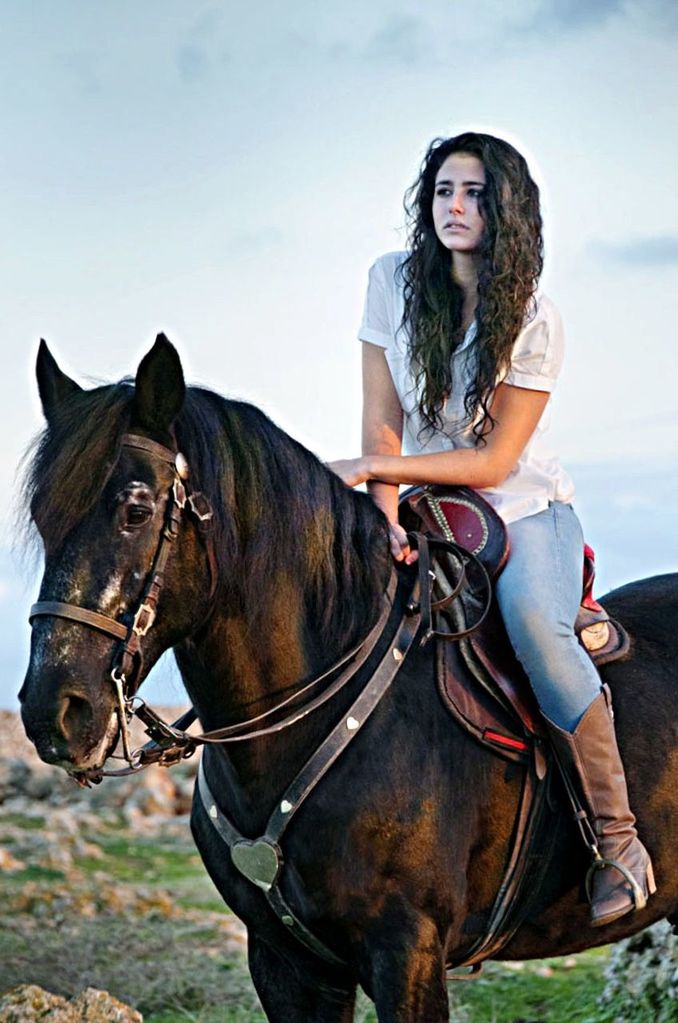 animal themes, horse, domestic animals, mammal, working animal, one animal, livestock, standing, portrait, sky, herbivorous, two animals, looking at camera, bridle, field, horseback riding, young adult, brown, side view, one person