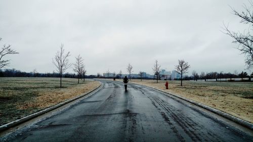 Road by bare trees against sky