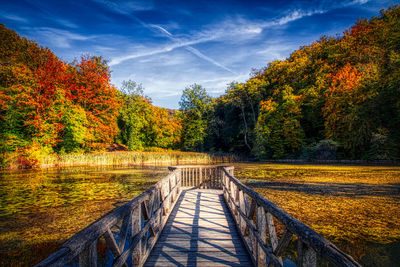 Footbridge amidst trees during autumn