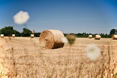 Hay bales on field against sky
