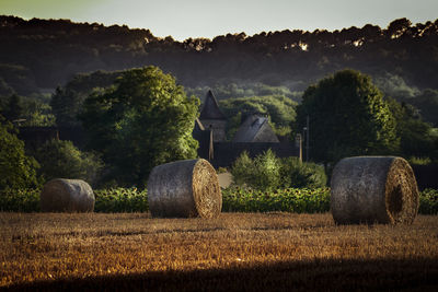 Hay bales on field against sky